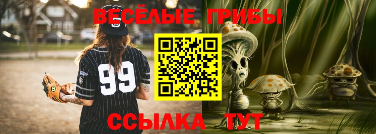 Галлюциногенные грибы Magic Shrooms  Вход с VPN  Екатеринбург  Псилоцибиновые грибы GOLDEN TEACHER 